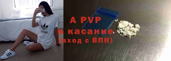 СК Аркадак