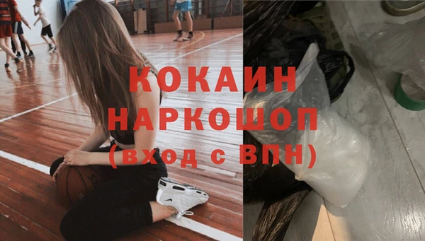 сатива Армянск
